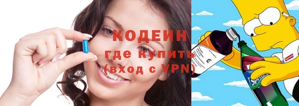 дмт Инта